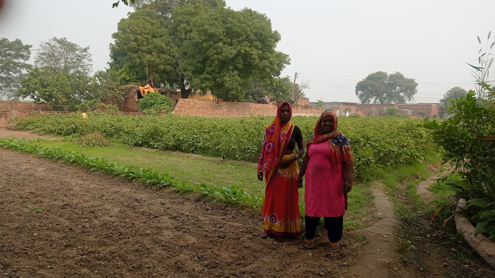 women in agriculture